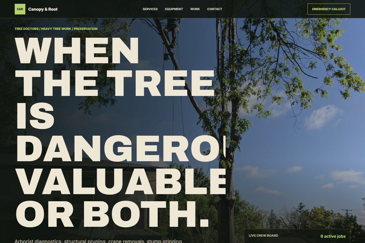 Canopy & Root Arborist page screenshot 1