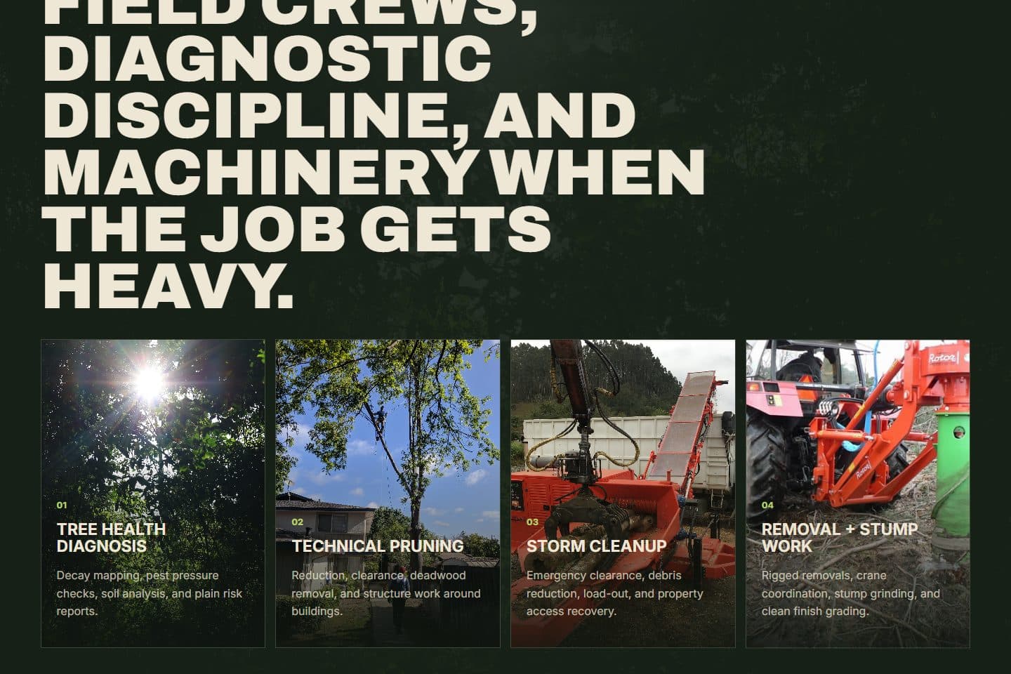Canopy & Root Arborist page screenshot 2