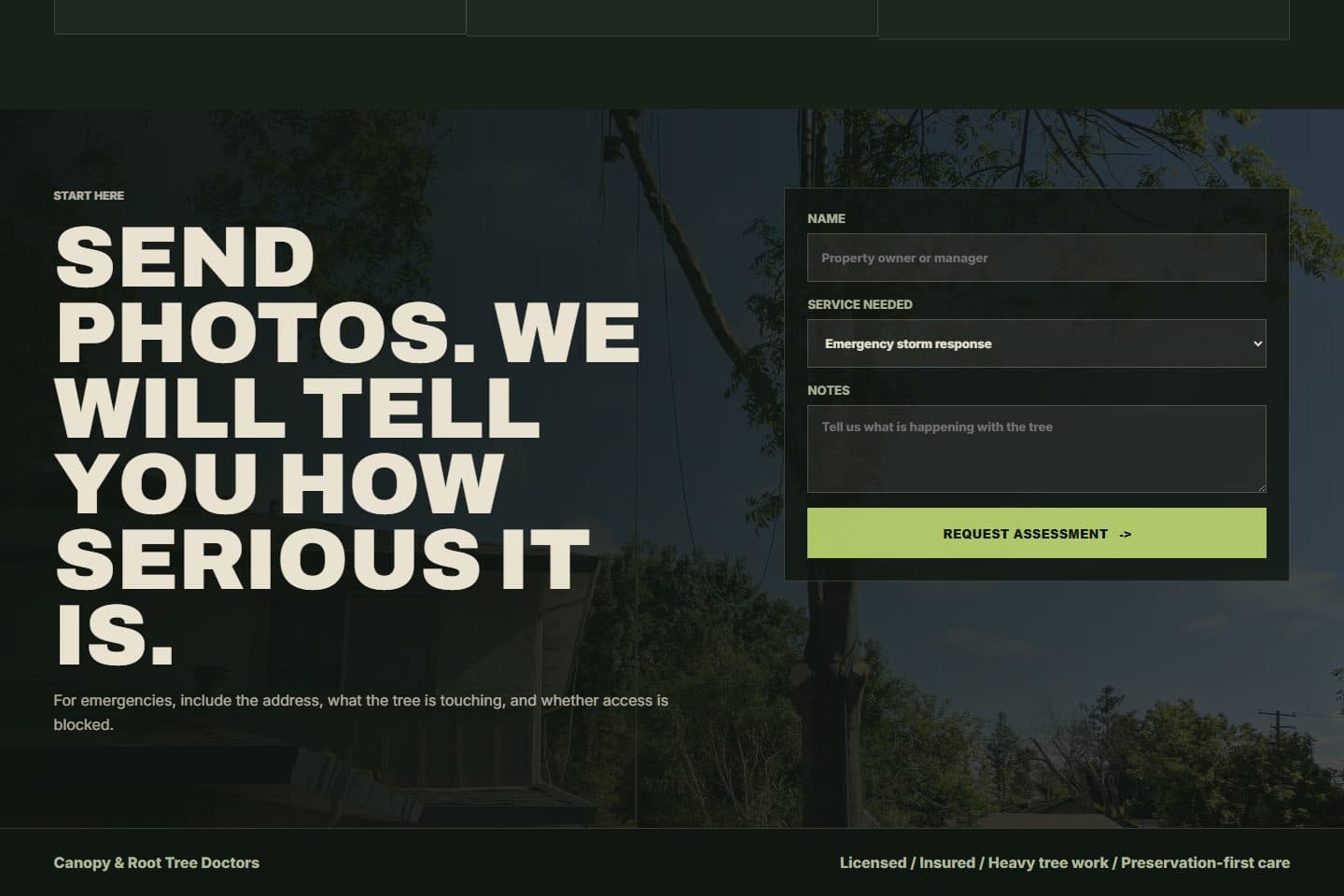 Canopy & Root Arborist page screenshot 5