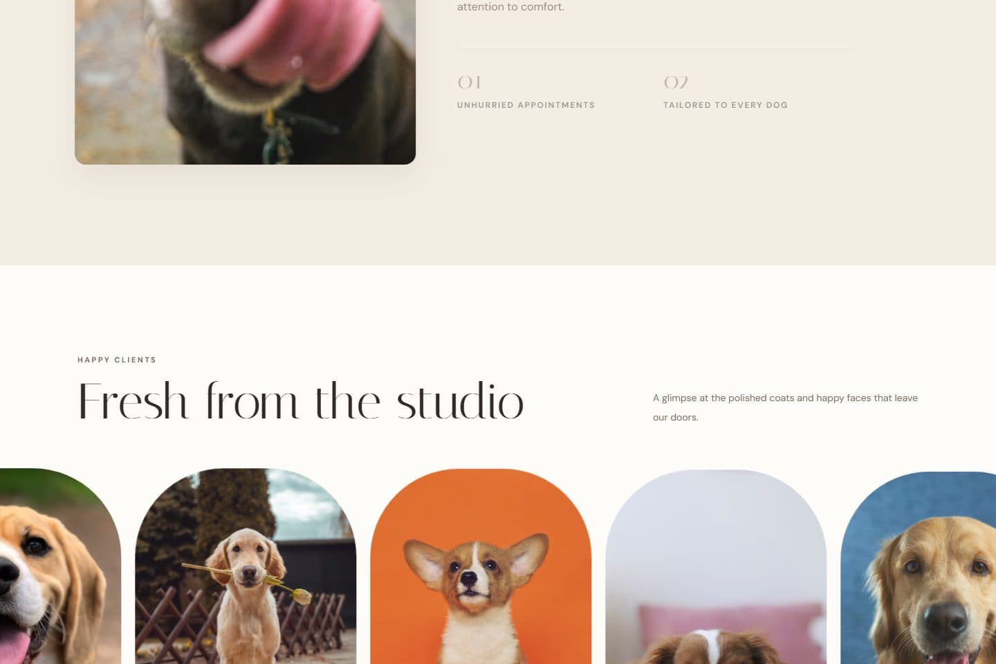 Dog Groomer page screenshot 3